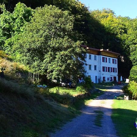 Domaine L'Imperatrice Apartment Plombieres-les-Bains Bagian luar foto