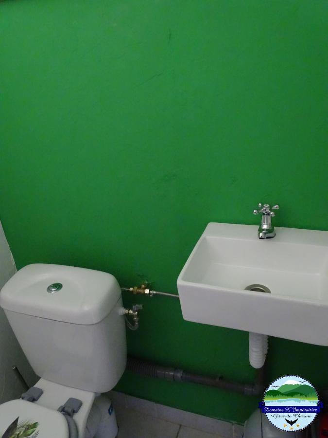 Domaine L'Imperatrice Apartment Plombieres-les-Bains Bagian luar foto